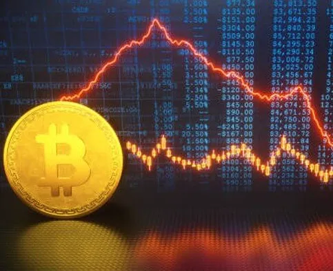 Cryptox - Enhance Your Trading Skills with Cryptox